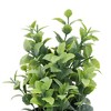 Unique Bargains Artificial Plants Plastic Green 2.95"x2.95"x7.09" 1 Pc - 4 of 4