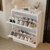 Hitow Tipping Shoe Cabinet Double Drawer Minimalist Lightweight Design - 2 of 4