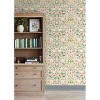 Rifle Paper Co. Curio Cream Peel and Stick Wallpaper - image 2 of 4