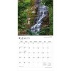 BrownTrout New York Wild and Scenic 2026 12"x24" Hanging Square Wall Calendar Plastic-Free - 3 of 4