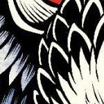 clear push pins bundle