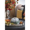 Gulches Series Multicolored Shatterproof Grid Pumpkin Harvest Festival Ornament - 4 of 4