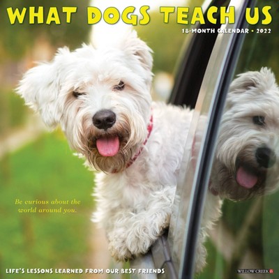 2022 Wall Calendar What Dogs Teach Us - Willow Creek Press