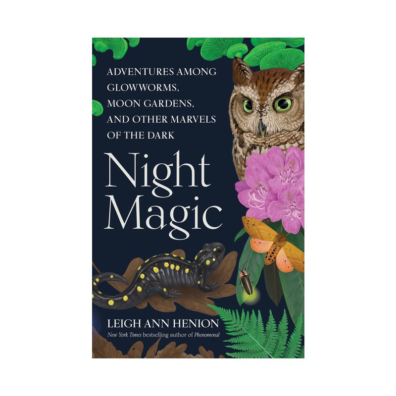 Night Magic - by  Leigh Ann Henion (Hardcover), 1 of 2