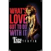 Trends International Tina Turner - What's Love Got To Do With It Unframed Wall Poster Prints - 4 of 4