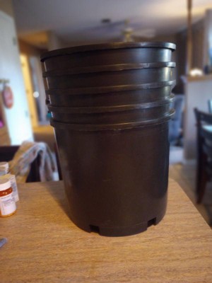 5 gal. Plus Plastic Nursery Pots 23.01 l/1,404.5 Cu. in (6-pack)