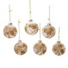 Kurt Adler 80MM Clear with Gold Pinecones Glass Ball Ornaments, 6-Piece Set - 2 of 4