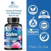 All Natural Stress Relief & Anti Anxiety Supplement Complex With Ashwagandha - 120 Capsules By Nature's Nutrition - 4 of 4