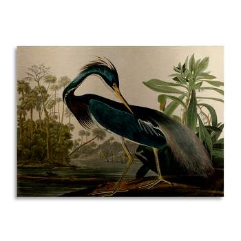 Trademark Fine Art - John James Audubon 'Louisiana Heron' Floating Brushed Aluminum Art