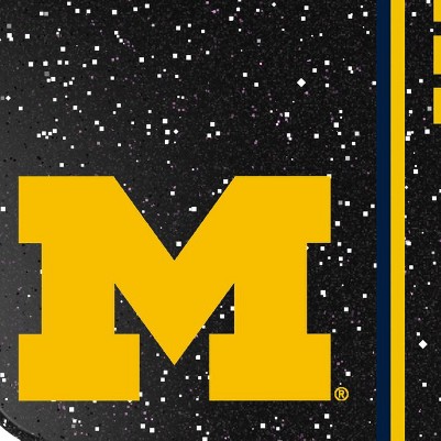 michigan wolverines