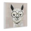 Stupell Industries Happy Alpaca Glasses Portrait, 12" x 12" - 3 of 4