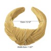 Unique Bargains Women's Velvet Wide Knotted headband for headband Hair Hoop Hair Accessories 1 Pc - 4 of 4