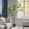 Gulches 47 Inch PIERIS Potted Artificial Pieris Tree Plants: A Great Fit for Indoor Gardens, Living Rooms and Bedrooms - 4 of 4
