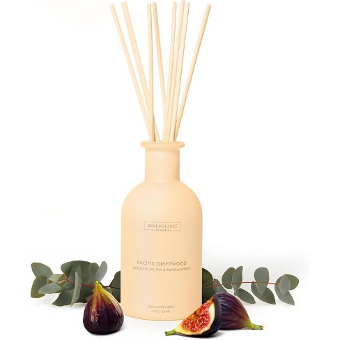 Benevolence La Pacific Driftwood Reed Diffuser : Target