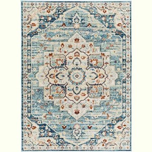 Livabliss Redondo beach Woven Indoor and Outdoor Area Rugs - 1 of 2