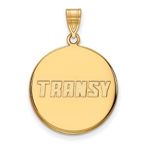 Black Bow Jewelry 10k Yellow Gold Transylvania Pioneers NCAA Large Pendant - 1 of 3