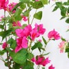 Acekool 150cm Artificial Bougainvillea Tree with Rose Red Flowers and Green Leaves, Faux Potted Plant for Indoor and Outdoor Home and Office Decor - 4 of 4