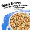 Purina Beneful Prepared Meals Roasted Recipes Wet Dog Food - 10oz - 4 of 4