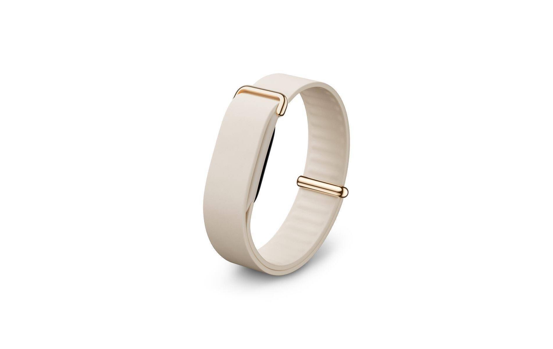 Google Fitbit Air Elevated Modern Band - Only Compatible with Fitbit Air - One Size