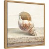 Amanti Art Driftwood Shell I by Danhui Nai Canvas Wall Art Print Framed 16 x 16-in. - 3 of 4