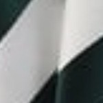 forest green and white