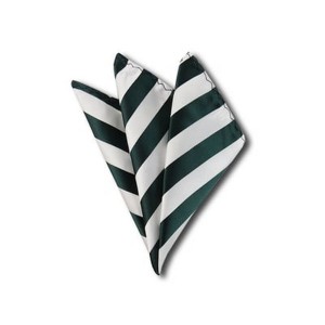 TheDapperTie - Men's College Stripes Woven 10 Inch x 10 Inch Pocket Squares Handkerchief - 1 of 3