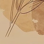 brown/with glass doors