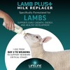 ANNUSO LIFELINE Lamb Plus+ Milk Replacer - 3 of 4