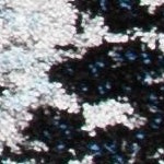 light grey/dark grey