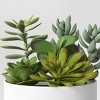 Succulent Arrangement in White Pot - Room Essentials™ - 3 of 4