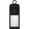 Quoizel Lighting Donegal 1 - Light Sconce in  Matte Black - 3 of 4