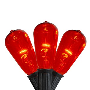 Northlight Edison E17 Christmas Light Set - Orange - 9' Black Wire - 10ct - 1 of 4