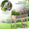 Tangkula Raised Wooden Garden Bed with Legs 24"/31” Elevated Planter Box with 2 Acrylic Panel Sides Drain Holes, Movable Beds - 3 of 4
