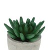 Unique Bargains Artificial Plants Mini Pulp Plastic Green 2.76"x2.76"x3.54" 1 Pcs - 4 of 4