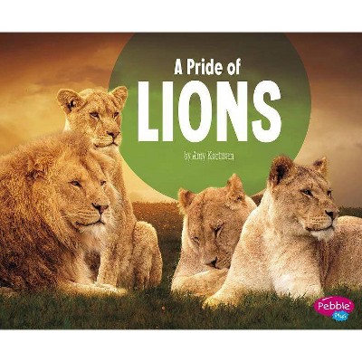 A Pride of Lions - (Animal Groups) by  Amy Kortuem (Paperback)