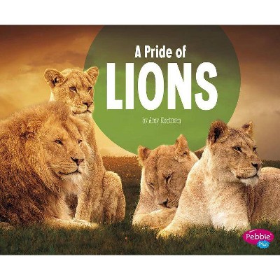 A Pride of Lions - (Animal Groups) by  Amy Kortuem (Paperback)