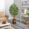 Nearly Natural 5.5-ft Ficus Bushy Artificial Tree in Decorative Planter - 4 of 4
