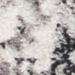 cream/silver