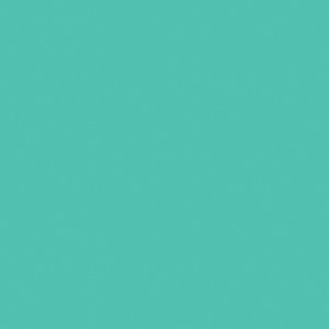 Bazzill Card Shoppe Heavyweight Cardstock 12"X12" - 1 of 1