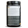 Sascha Fitness BCAA 4:1:1 with Glutamine, HMB, L-Carnitine, HICA | Natural Mango Coco Flavor 12.8 oz - 3 of 4