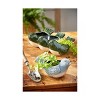 tagltd Third Green Birds in a Row Glazed Terracotta Planter, 13L x 9.25W x 5.0H inches, fits drop in plants up to 3 inches - 2 of 2