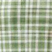 fern gingham