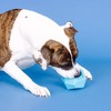 PetShop by Fringe Studio Having A Ball Dog Treat Dispenser Toy - Blue - 4 of 4