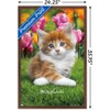Trends International Keith Kimberlin - Maine Coon Kitten Framed Wall Poster Prints - 3 of 4