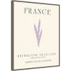 23" x 28" France Travel Poster Lavender by Chayan Lewis Framed Canvas Wall Art Print - Amanti Art: Modern Botanical Lithograph - 2 of 4
