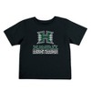 NCAA Hawaii Rainbow Warriors Toddler Boys' 2pk T-Shirt - 3 of 4