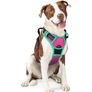 rabbitgoo Dog Harness No Pull with 2 Leash Clips, Oxford No Choke Pet Vest with Easy Control Handle for Large Dogs, Hot Pink & Turquoise, L - 1 of 1