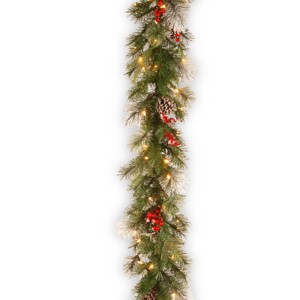 National Tree Company Pre-Lit Artificial Christmas Garland, Green, Wintry Berry, White Lights,Pine Cones, Frosted Branches, Plug In,9 Feet - 1 of 3