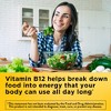 Nature Made Vitamin B12 1000mcg Convert Food into Cellular Energy Support Nervous System Softgels - Non Vegetarian - image 4 of 4