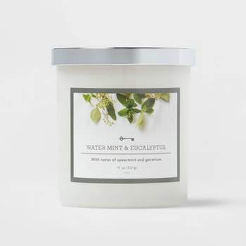 Milky Glass Water Mint & Eucalyptus Lidded Jar Candle 11oz - Threshold™